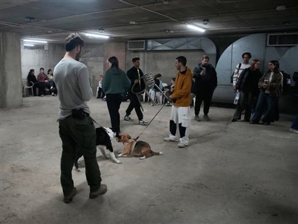 以色列稱偵測到伊朗射彈　德黑蘭疑報復美以突襲