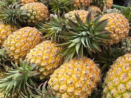 台灣鳳梨檢疫獲認可 農業部:將首度銷美國