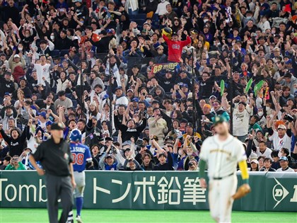 台灣球迷湧WBC東京巨蛋　巴札納開轟納悶無歡呼聲