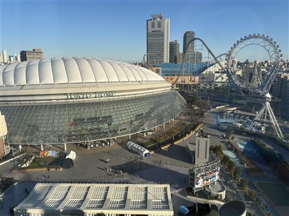 WBC經典賽台澳戰徐若熙先發搶勝 費柴德扛開路先鋒、林子偉守二壘