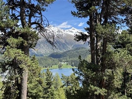 古老職業新面貌　瑞士獵人從生態管理到永續思維