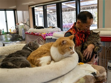 日本311地震15週年　核電廠前員工奉獻餘生照顧災區棄養寵物