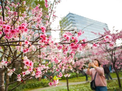 新竹關西凌晨低溫9度　吳德榮：未來一週晴朗乾燥