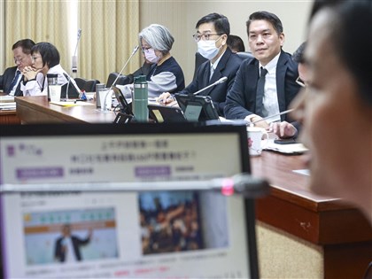 李貞秀立委資格爭議　劉世芳：未收到放棄中國籍公文