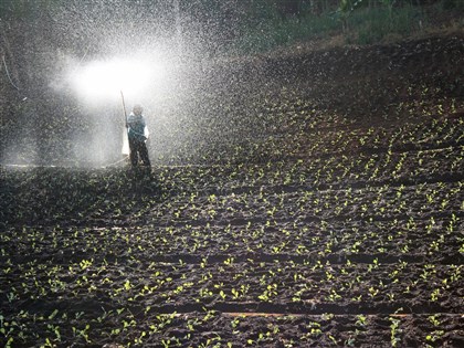 陳駿季：中東戰爭若致肥料漲　價差由政府吸收