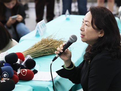 徐春鶯涉掩護中共官員來台　陸委會：檢討審查機制