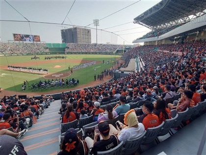 男亞太棒球場掌摑工讀生　中職提告並禁再入場觀賽