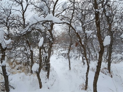 法媒熱議高山離婚　學者稱荒野遺棄伴侶涉羞辱與支配