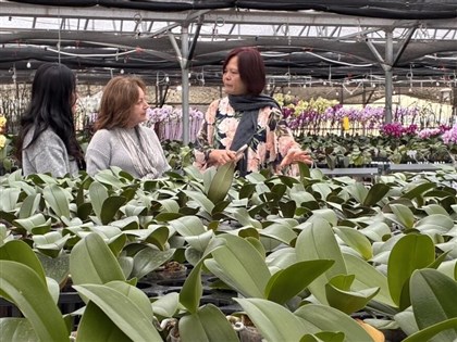 台美新經貿　蘭花業者籲思考貼近市場在地化生產