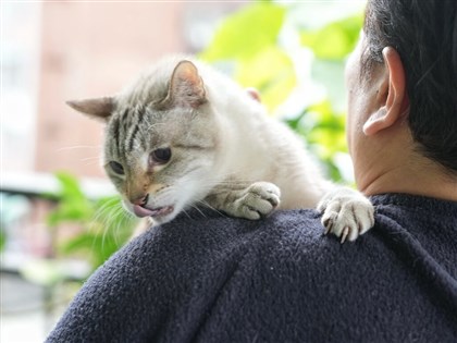 人藥用於犬貓　農業部：若實務難行不輕易上路