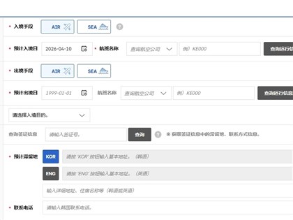 韓國電子入境卡錯列爭議　頁面已刪除出發地、目的地欄位