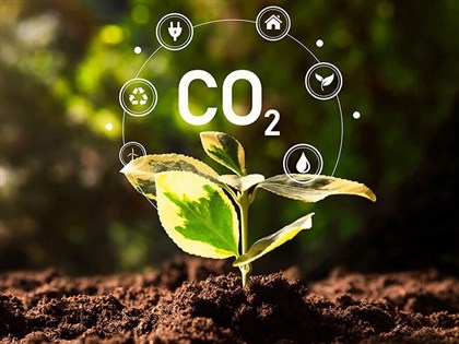 購買碳權兼防野火　摩根大通攜手新創公司