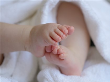 兒托新制防剴剴案重演　保母違規記點制最重吊照