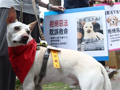 寵物用藥新制爭議多　農業部：將註銷、另推新辦法