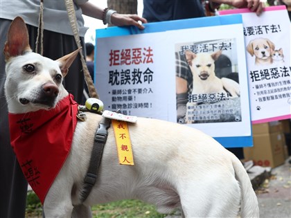 寵物用藥新制爭議　農業部註銷發布令與衛福部重擬辦法