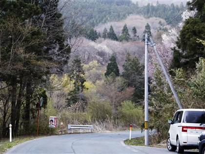 日本熊害再起　岩手警察遇襲受傷、附近山溝發現遺體