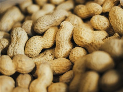 美國花生零關稅進口　農業部估影響國產2至3成