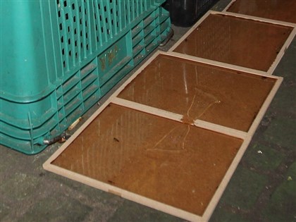 民憂老鼠出沒　北市環保局：加強清消已有階段性成效