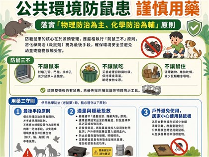 籲滅鼠以環境整頓為主　環境部：大規模投藥不應作為常態唯一手段