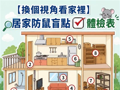 北市鼠患受關注　醫：接觸排泄物也有感染風險
