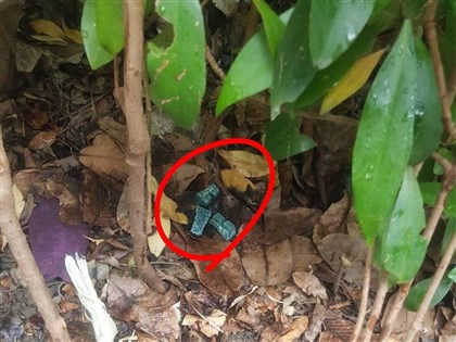 鼠患投藥被疑不當  北市：寵物誤食3件無關鼠藥
