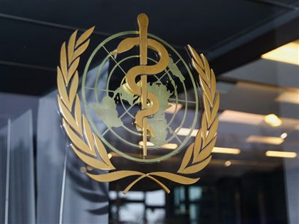 世衛證實3人病歿大西洋郵輪上　疑染漢他病毒