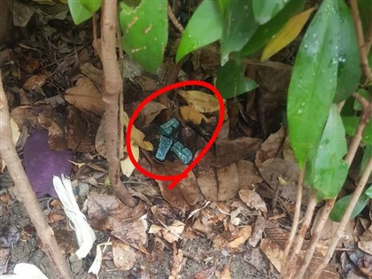 北市環保局：鼠藥不溶於水　未被鼠類取食就回收