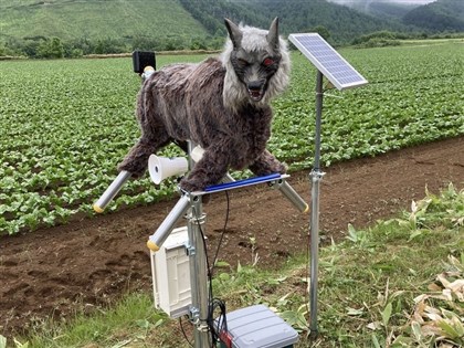 日本熊襲頻傳　北海道公司生產機器狼嚇熊接大量訂單