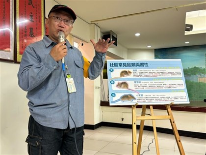北市籲建鼠類監測模型　擬擴大執行籠夜法估算