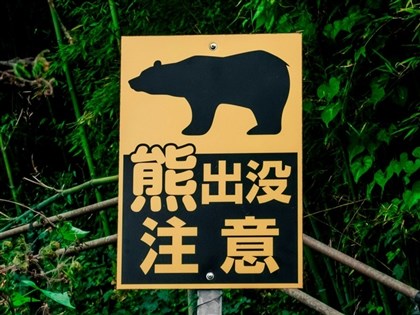 日本東京山區發現無上半身遺體　疑熊襲致死