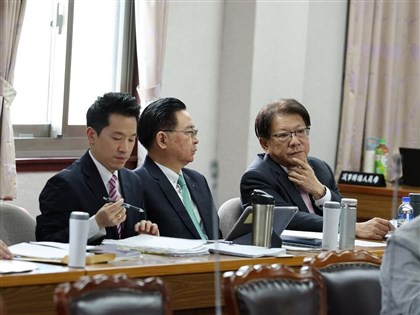 翁曉玲促依憲法再提大法官 潘孟安:提名是總統職權