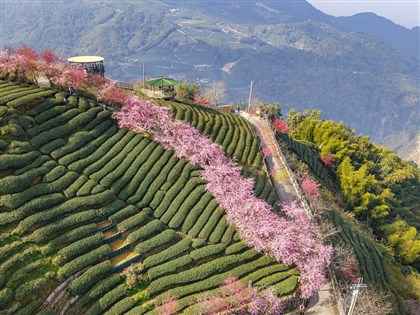 南投10億蓋纜車串聯太極峽谷遊憩帶　盼2031年營運