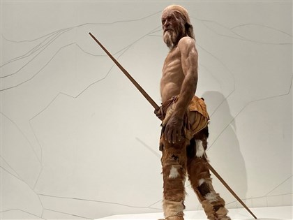 5000年木乃伊體內發現酵母　科學家成功做出麵包