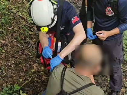 新北每天蜂害百件　10大熱點步道以三貂嶺居首