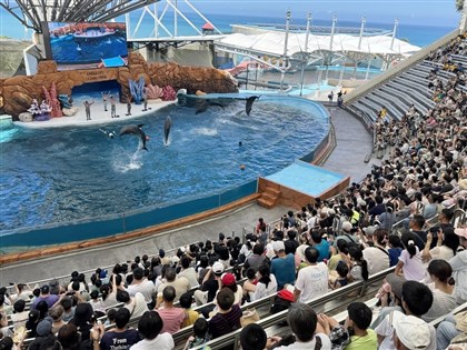 花蓮海洋公園海豚秀走入歷史 轉型生態展演推廣保育