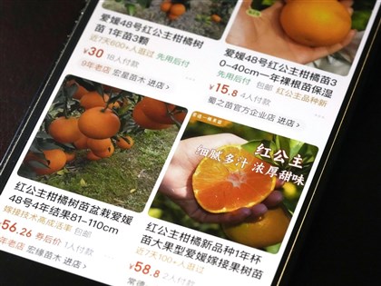 日本「紅公主」等種苗屢遭外流 政府設專責管理機構