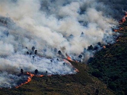 法國、西班牙野火失控　近20萬人緊急撤離