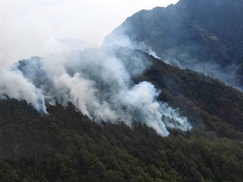 玉山林班因炊事不慎釀森林火災5登山客遭函送 社會 中央社cna