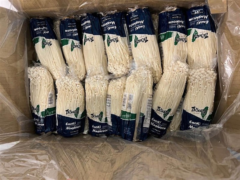 輸美金針菇遭李斯特菌污染農委會 防疫致航運時間倍增是可能原因 生活 中央社cna