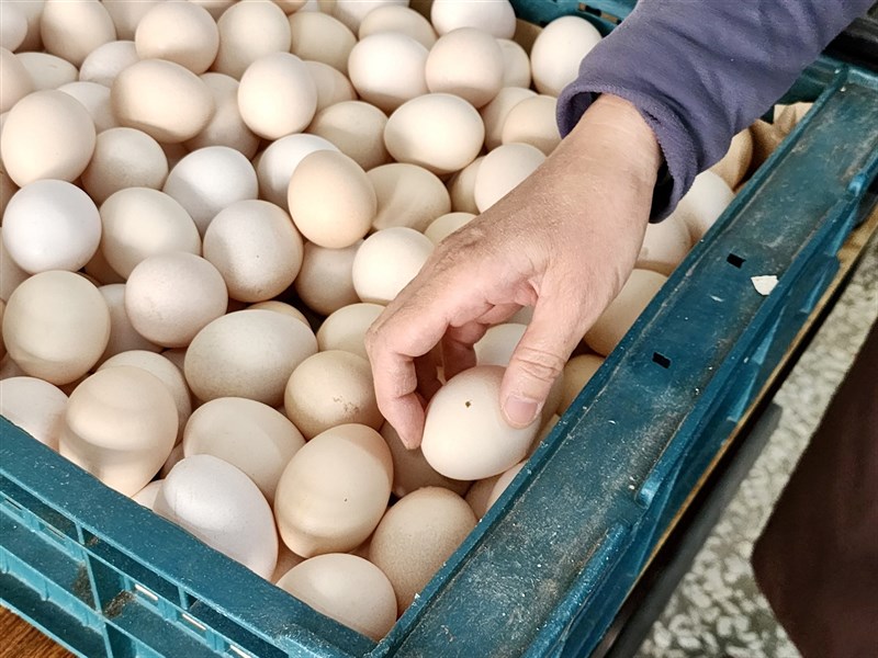 巿面雞蛋供需趨穩 跨部會物價小組續稽查2蛋商 | 社會 | 中央社 CN