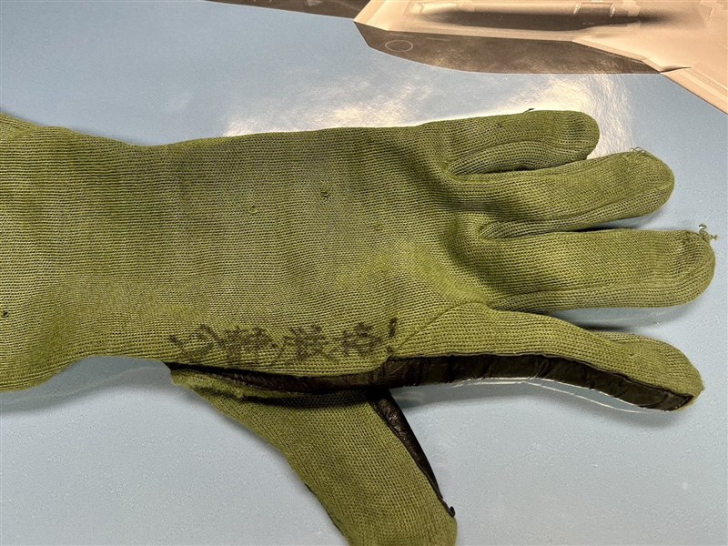 日防相曬飛官手套 肯定自衛隊冷靜應對中國雷達照射