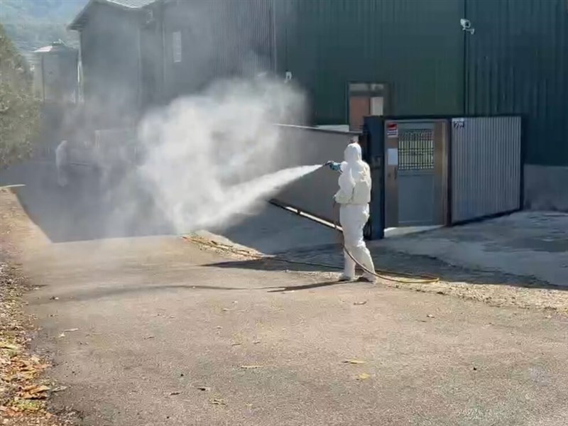 台中蛋雞場染禽流感涉隱匿 1/10即出現症狀仍出蛋