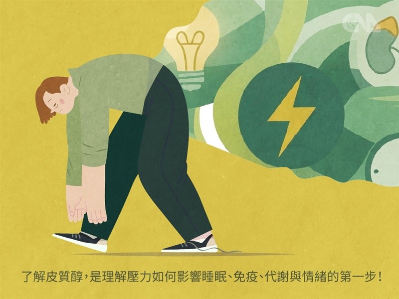認識皮質醇》你以為的「累」,可能是身體還沒退出壓力模式