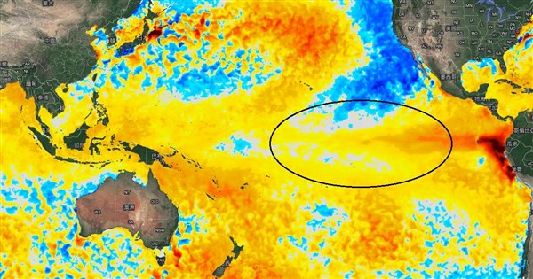 鄭明典：聖嬰現象發展 颱風生成會距離台灣更遠 | 生活 | 中央社 CNA