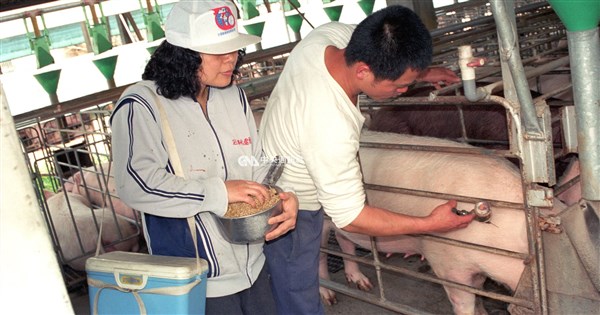 [討論] 台中非洲豬瘟破口，恐損失兩千億