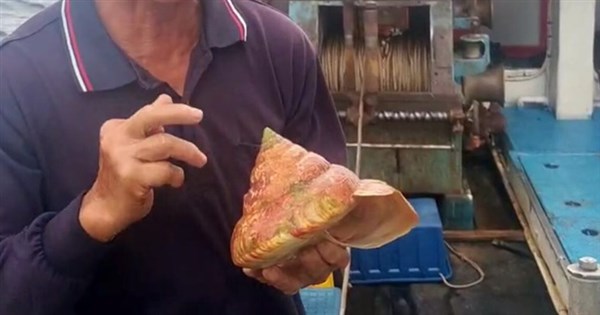 Fishermen Held Hostage: The 120,000-Dollar Ransom That Freed Ilan’s Clam Buyers