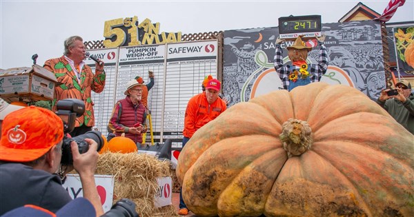 美園藝教師種出1121公斤大南瓜連4年秤重大賽封王| 國際| 中央社CNA