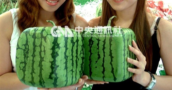 開箱老照片》方形西瓜