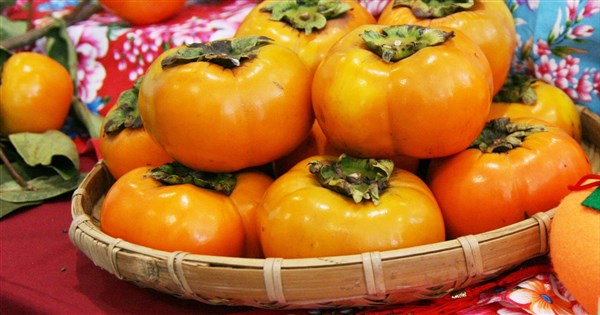 霜降到天氣漸轉涼冷 吃潤燥補氣食材、柿子防感冒