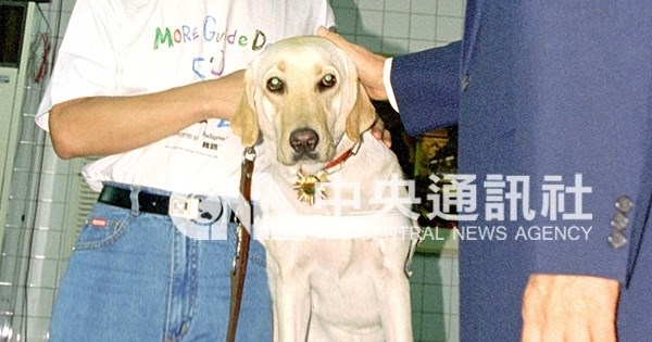 開箱老照片》台灣第一隻導盲犬雅琪